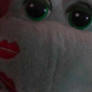 Meet your Posher, Cassidy